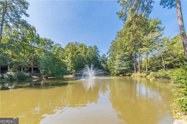28106 Plantation Dr NE, Atlanta, GA 30324 - water view