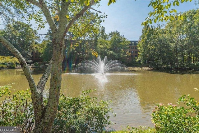 28106 Plantation Dr NE, Atlanta, GA 30324 - water view