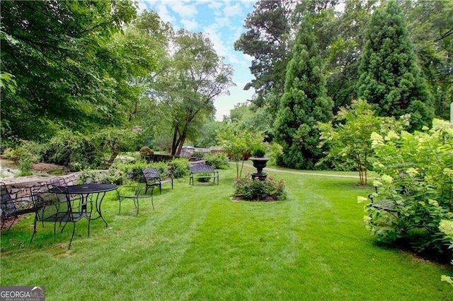 28106 Plantation Dr NE, Atlanta, GA 30324 - view of green lawn