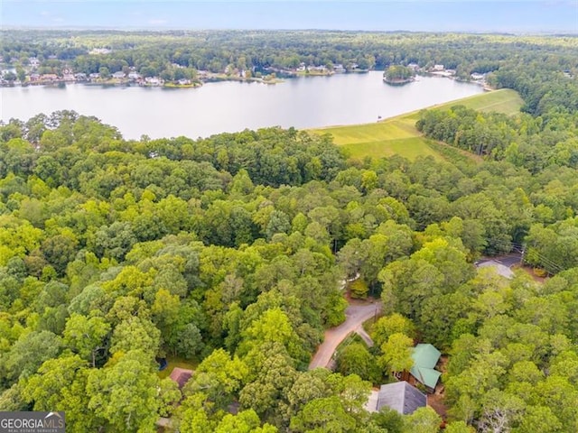 10213 Tall Pine Ct, Villa Rica, GA 30180 - drone / aerial view of a nearby body of water and a heavily wooded area