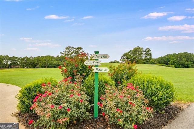 10213 Tall Pine Ct, Villa Rica, GA 30180 - exterior view of a golf course