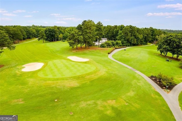 10213 Tall Pine Ct, Villa Rica, GA 30180 - bird's eye view of a golf course and a tree filled landscape