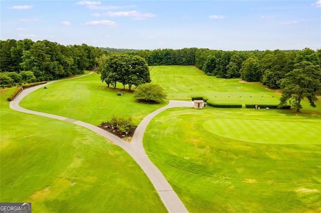 10213 Tall Pine Ct, Villa Rica, GA 30180 - bird's eye view of a golf club