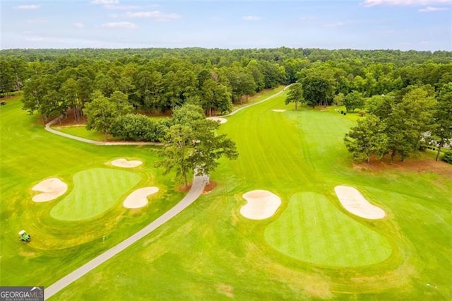 10213 Tall Pine Ct, Villa Rica, GA 30180 - aerial view of a golf course
