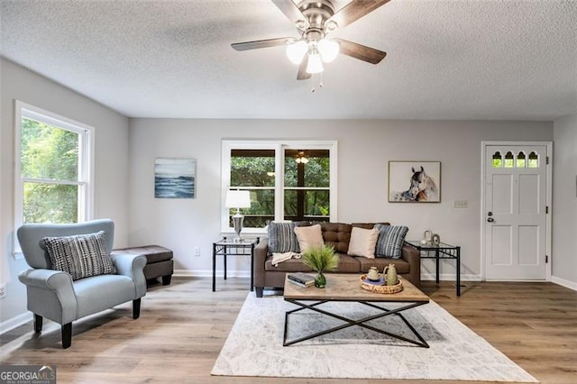 10213 Tall Pine Ct, Villa Rica, GA 30180 - living room with plenty of natural light, a textured ceiling, light wood finished floors, a ceiling fan, and baseboards