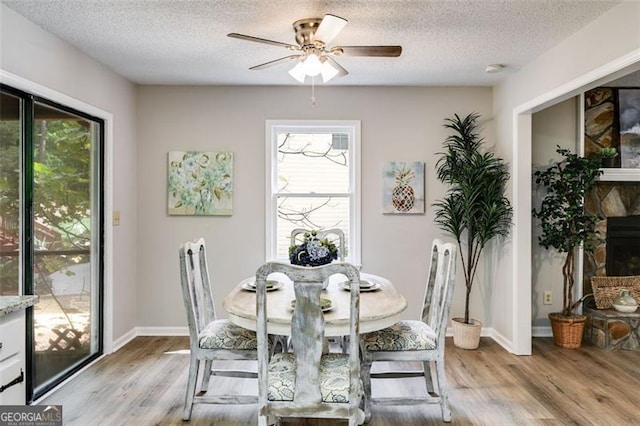 10213 Tall Pine Ct, Villa Rica, GA 30180 - dining space with light wood finished floors, a ceiling fan, a textured ceiling, and plenty of natural light