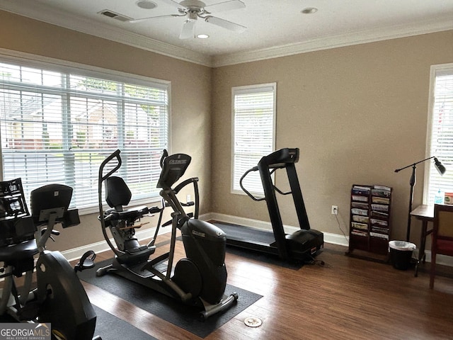 2595 Grapevine Cir, Cumming, GA 30041 - exercise area with healthy amount of natural light, wood finished floors, ceiling fan, ornamental molding, and baseboards
