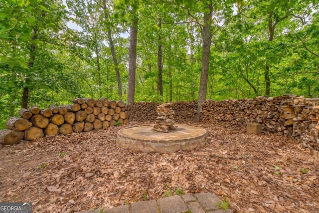 440 Treat Mountain Rd, Cedartown, GA 30125 - view of yard