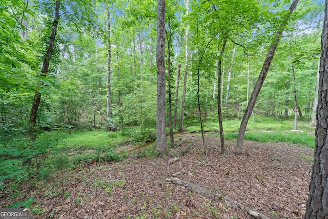 480 Holly Hills Ln, Mcdonough, GA 30252
