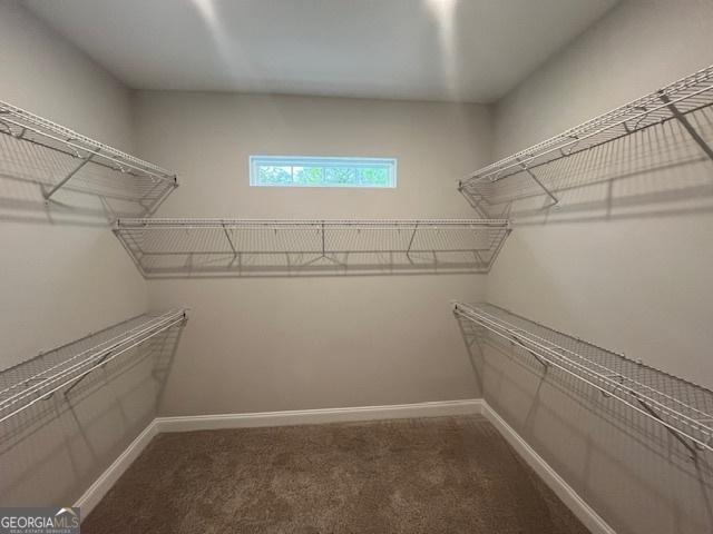 352 Harbour Island Cir, Waverly, GA 31565 - walk in closet with carpet flooring