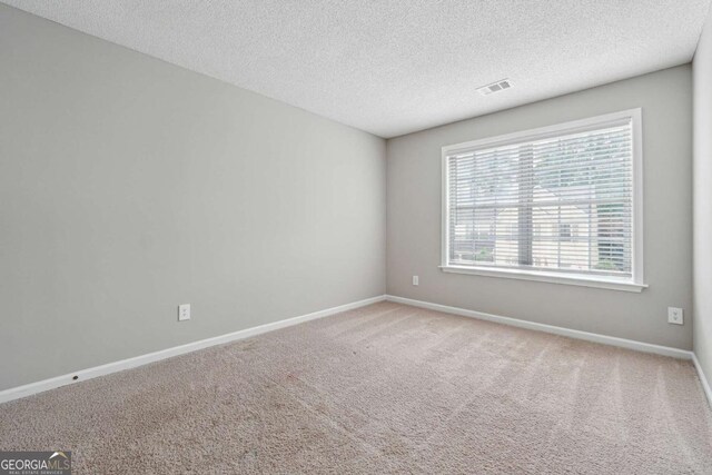 9165 Nesbit Ferry Rd # 9, Alpharetta, GA 30022 - spare room featuring carpet flooring and a textured ceiling