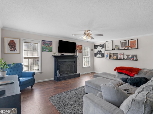 526 Lakeside Dr, Hiram, GA 30141 - living room with ornamental molding, a textured ceiling, a ceiling fan, a fireplace with raised hearth, and baseboards
