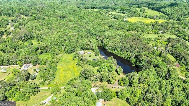 163 Thompson Ln, Jasper, GA 30143 - view of property location with a heavily wooded area and a large body of water