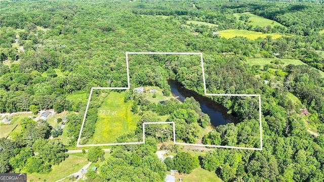 163 Thompson Ln, Jasper, GA 30143 - aerial view of property and surrounding area with property parcel outlined, a heavily wooded area, and a large body of water