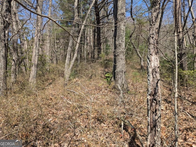 TRK1 Kimsey Mountain Highway, Turtletown, TN 37391