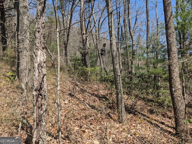 TRK1 Kimsey Mountain Highway, Turtletown, TN 37391