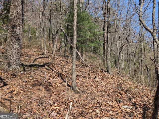 TRK1 Kimsey Mountain Highway, Turtletown, TN 37391