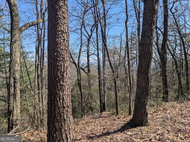 TRK1 Kimsey Mountain Highway, Turtletown, TN 37391