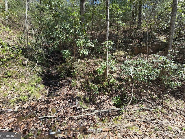 TRK1 Kimsey Mountain Highway, Turtletown, TN 37391