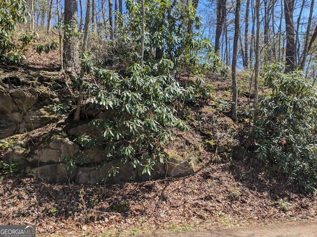 TRK1 Kimsey Mountain Highway, Turtletown, TN 37391