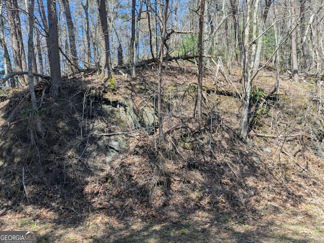 TRK1 Kimsey Mountain Highway, Turtletown, TN 37391