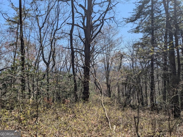 TRK1 Kimsey Mountain Highway, Turtletown, TN 37391