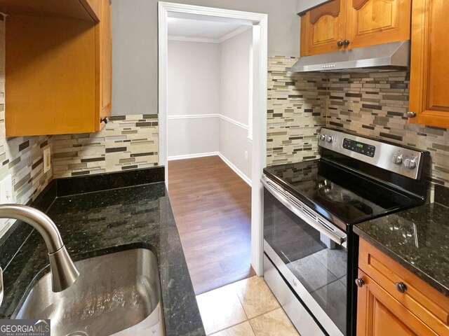 kitchen with electric range, under cabinet range hood, crown molding, a sink, and decorative backsplash