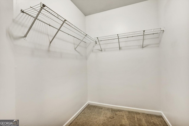547 SE Tufton Trl SE, Atlanta, GA 30354 - spacious closet with carpet