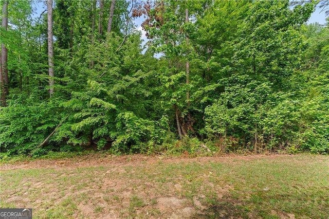 6237 Thorncrest Dr Unit 10, Tucker, GA 30084 - view of undeveloped land