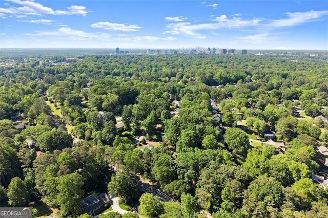 5816 Chamblee Dunwoody, Atlanta, GA 30338 - bird's eye view of a heavily wooded area