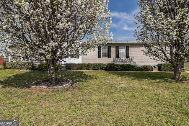 view of property hidden behind natural elements featuring a front lawn