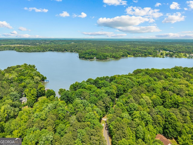 drone / aerial view of a forest and a nearby body of water