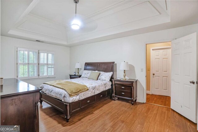 bedroom featuring a raised ceiling and light wood-type flooring