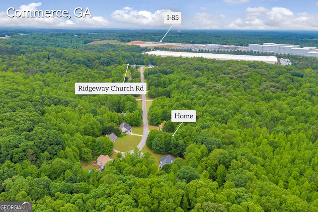 aerial view of a forest