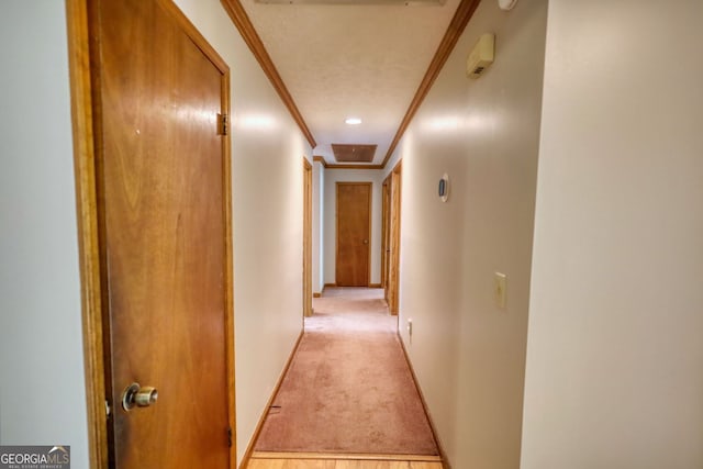 3311 Creek Hollow Dr, Marietta, GA 30062 - corridor featuring ornamental molding and light colored carpet