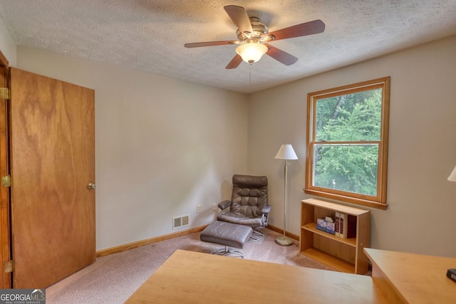 3311 Creek Hollow Dr, Marietta, GA 30062 - living area with a textured ceiling, carpet flooring, and a ceiling fan