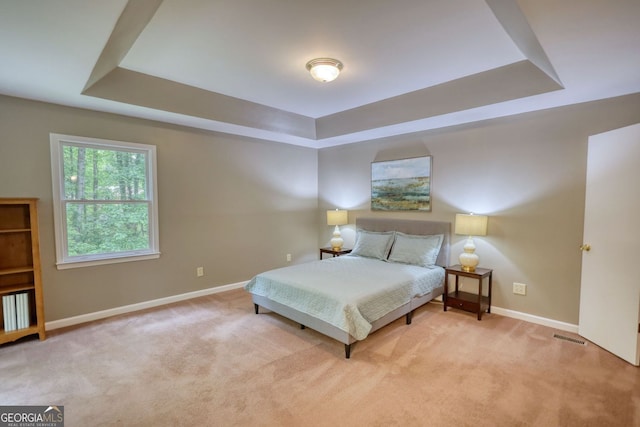 3311 Creek Hollow Dr, Marietta, GA 30062 - bedroom with a tray ceiling and carpet flooring