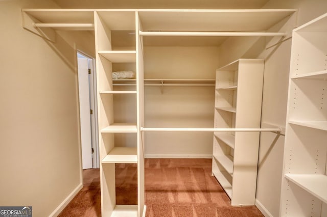 3311 Creek Hollow Dr, Marietta, GA 30062 - walk in closet with carpet flooring