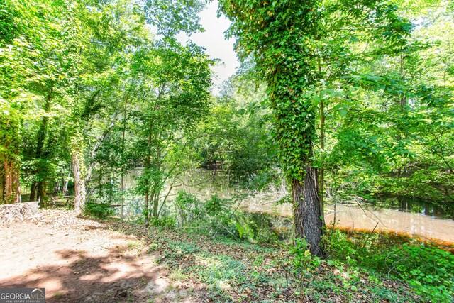 1700 Jimmy Daniel Rd, Watkinsville, GA 30677 - view of nature