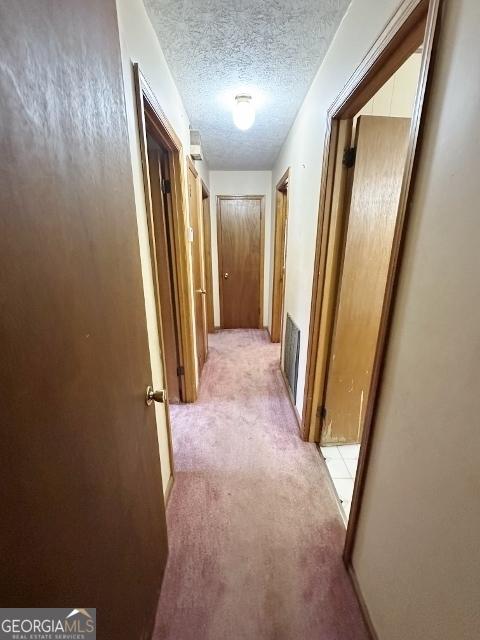 310 Advantage Ln, Swainsboro, GA 30401 - corridor featuring light colored carpet and a textured ceiling