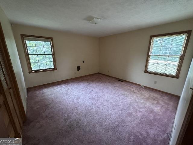 310 Advantage Ln, Swainsboro, GA 30401 - unfurnished room with carpet