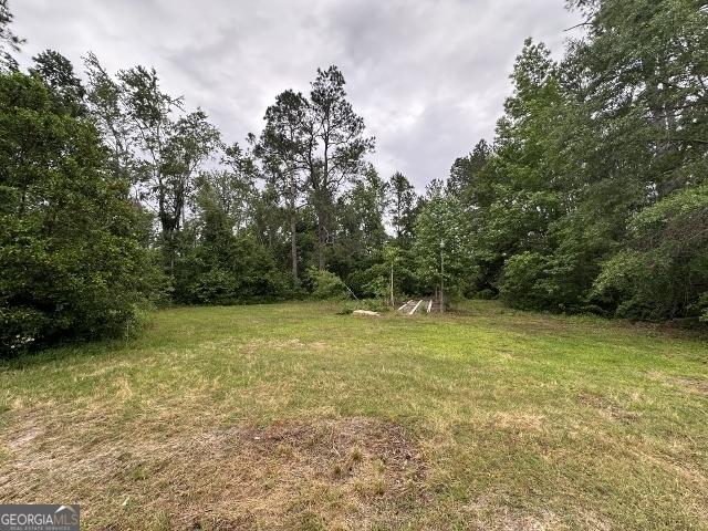 310 Advantage Ln, Swainsboro, GA 30401 - view of grassy yard featuring a wooded view