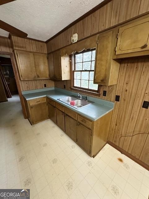 310 Advantage Ln, Swainsboro, GA 30401 - kitchen with a sink, wooden walls, light flooring, crown molding, and a textured ceiling