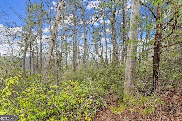 LOT54 Tallulah Vw, Tallulah Falls, GA 30573