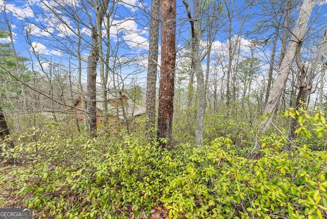 LOT54 Tallulah Vw, Tallulah Falls, GA 30573