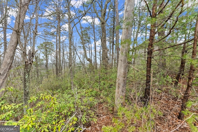 LOT54 Tallulah Vw, Tallulah Falls, GA 30573