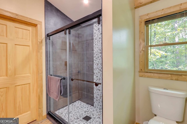 162 Little Falls Dr, Mineral Bluff, GA 30559 - bathroom with a stall shower, plenty of natural light, and toilet