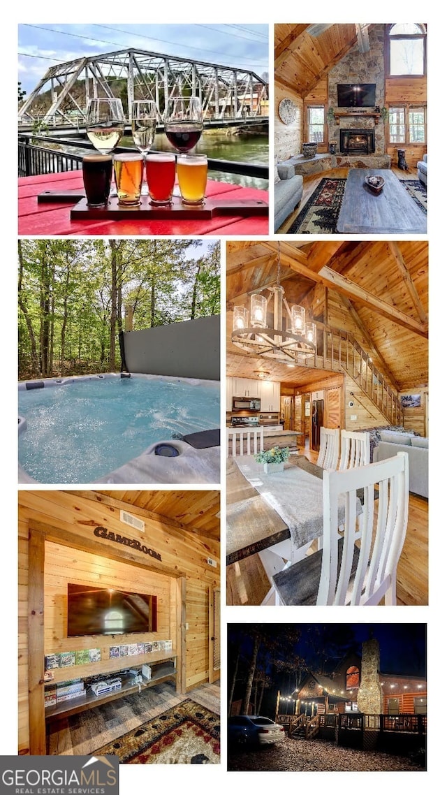 162 Little Falls Dr, Mineral Bluff, GA 30559 - view of a document with a collage of images