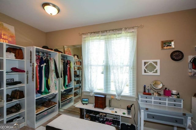 view of spacious closet
