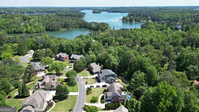 aerial view of residential area with a forest and a large body of water